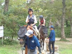森の引き馬