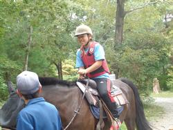 森の引き馬