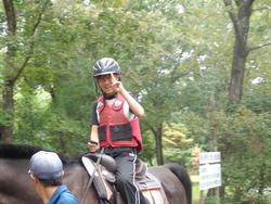 森の引き馬