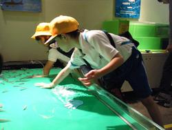 1年生校外学習