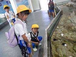 1年生校外学習