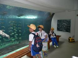 1年生校外学習