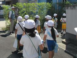 2年生町たんけんの様子
