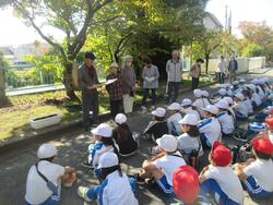 2年生老人クラブの方々と花植え