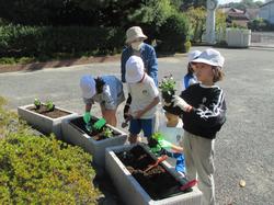 2年生老人クラブの方々と花植え