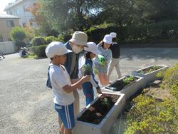2年生老人クラブの方々と花植え