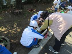 2年生老人クラブの方々と花植え