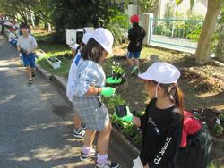 2年生老人クラブの方々と花植え