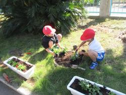 2年生老人クラブの方々と花植え