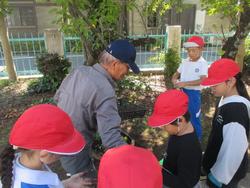 2年生老人クラブの方々と花植え