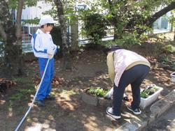 2年生老人クラブの方々と花植え
