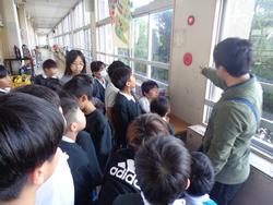 3年生社会の授業