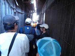 三樹っ子探検クラブの様子