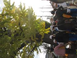 三樹っ子探検クラブの様子