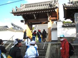 三樹っ子探検クラブの様子