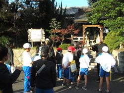 三樹っ子探検クラブの様子