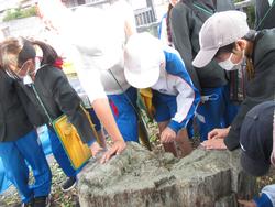 三樹っ子探検クラブの様子