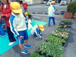 3年生花いっぱい運動の様子