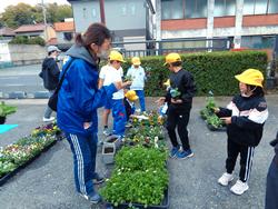3年生花いっぱい運動の様子