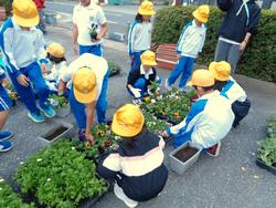 3年生花いっぱい運動の様子