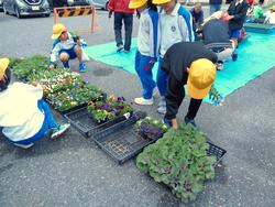 3年生花いっぱい運動の様子