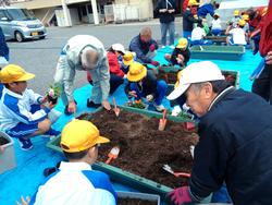 3年生花いっぱい運動の様子