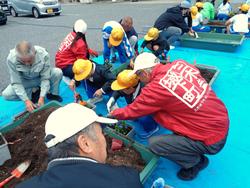 3年生花いっぱい運動の様子