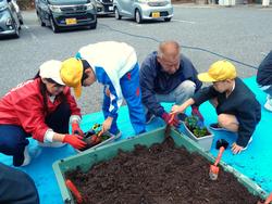 3年生花いっぱい運動の様子