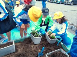 3年生花いっぱい運動の様子