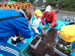 3年生花いっぱい運動の様子