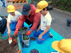 3年生花いっぱい運動の様子