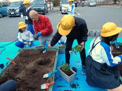 3年生花いっぱい運動の様子