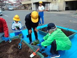 3年生花いっぱい運動の様子