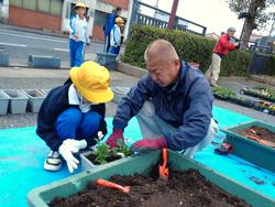 3年生花いっぱい運動の様子