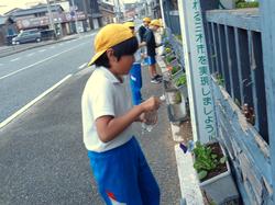 3年生花いっぱい運動の様子