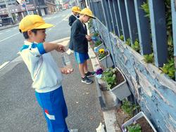 3年生花いっぱい運動の様子