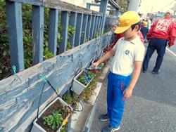 3年生花いっぱい運動の様子