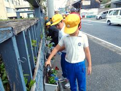 3年生花いっぱい運動の様子