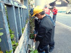 3年生花いっぱい運動の様子