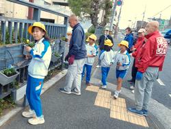 3年生花いっぱい運動の様子