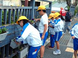 3年生花いっぱい運動の様子