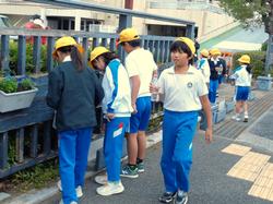 3年生花いっぱい運動の様子