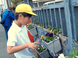 3年生花いっぱい運動の様子