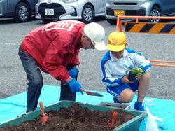 3年生花いっぱい運動の様子