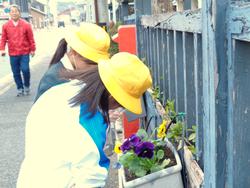 3年生花いっぱい運動の様子