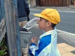 3年生花いっぱい運動の様子