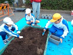 3年生花いっぱい運動の様子