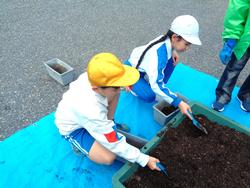 3年生花いっぱい運動の様子