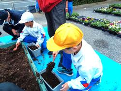 3年生花いっぱい運動の様子