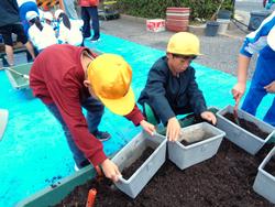 3年生花いっぱい運動の様子